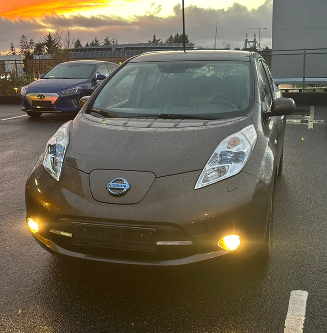 Nissan Leaf 2016